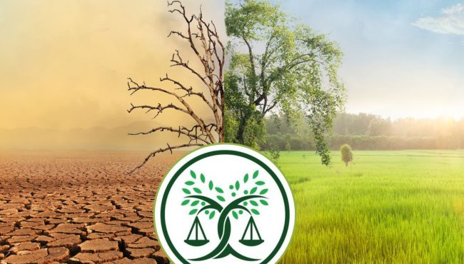 Una rete di avvocati in Svizzera sostiene le azioni legali contro la crisi climatica