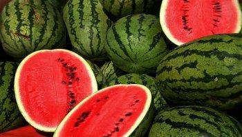 Anguria, calorie e proprietà del frutto estivo