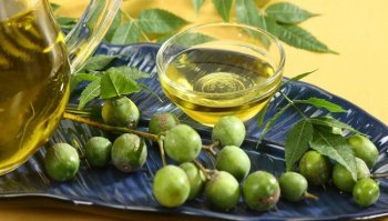 Olio di neem: cos'è e a cosa serve 