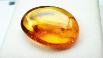 Quali sono le proprietà dell'ambra? Le caratteristiche benefiche 