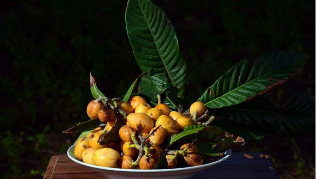 Nespole: proprietà, benefici e calorie