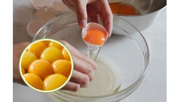 Il colore del tuorlo delle uova: come dieta e ambiente influenzano le sfumature