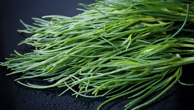 Agretti: proprietà e come cucinarli