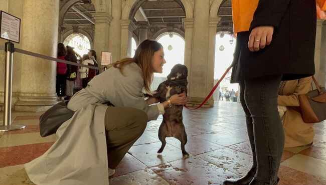 Un nuovo servizio per i proprietari di cani nei musei: parte “Dogs & Museum” a Roma