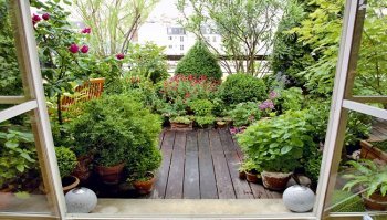 Fiori da balcone: migliori specie per il proprio appartamento