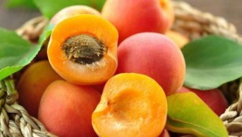 Frutta e verdura luglio: quali sono i prodotti di stagione?
