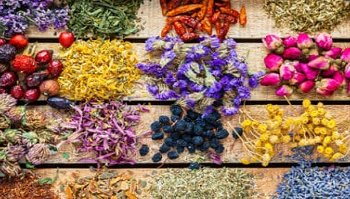Erbe medicinali: quali sono e come agiscono sul nostro corpo