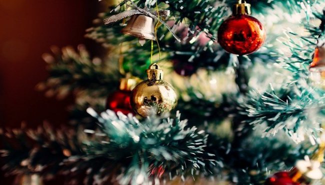 Albero di Natale vero: problematiche e come curarlo in casa