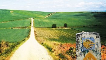 Cammino di Santiago: tappe, km e cosa sapere