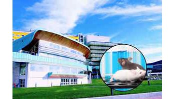 Scandalo all'Università Magna Graecia: maltrattamenti e uccisioni di animali da laboratorio