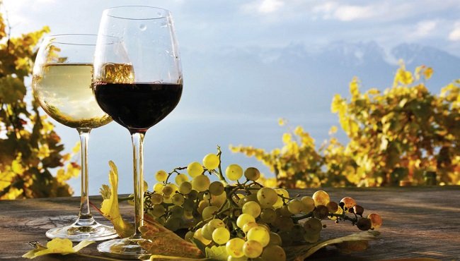 Cos'è il vino biologico? Caratteristiche e differenze con quello normale