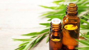 Tea Tree oil: proprietà e benefici