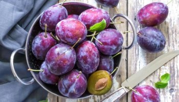 Prugna: caratteristiche, calorie e benefici del frutto