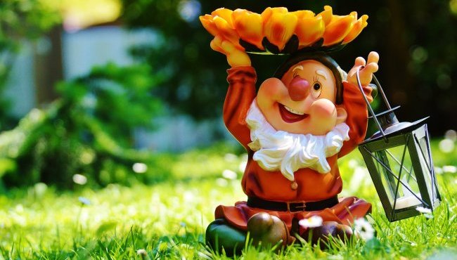 App per il giardinaggio: le migliori per la cura delle piante