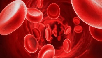 Bilirubina: cos'è e quali valori deve avere nel sangue