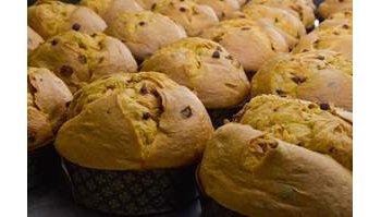 Panettoni artigianali: la degustazione del Gambero Rosso svela un calo nella qualità