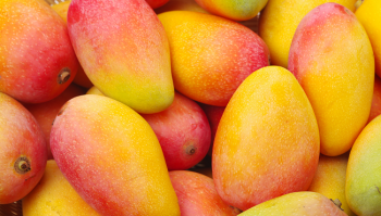 Mango: proprietà, calorie e benefici del frutto che aiuta a perdere peso
