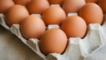 Riciclo confezioni uova: idee divertenti per i bambini