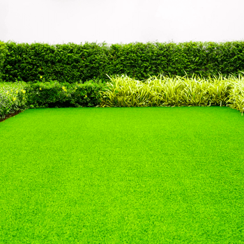 Come prendersi cura del proprio giardino in estate?