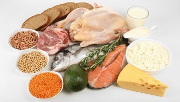 Dieta metabolica: come funziona e quali cibi mangiare