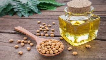Olio di soia: proprietà, utilizzi e valori nutrizionali