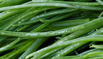 Agretti: proprietà e come cucinarli