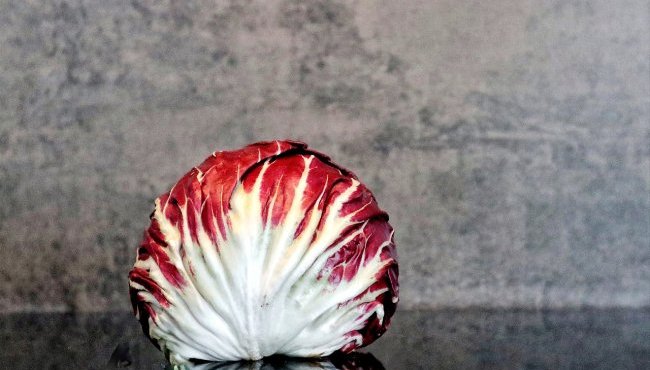 Radicchio: proprietà, vitamine e benefici