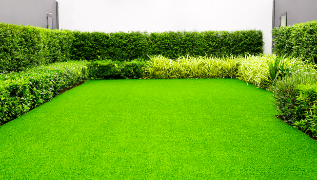 Come prendersi cura del proprio giardino in estate?