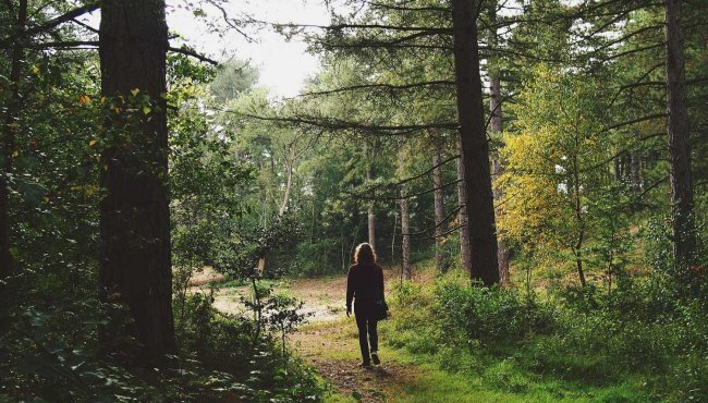 Cinque itinerari imperdibili per un trekking invernale a gennaio