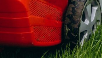 Quali sono i benefici del mulching?
