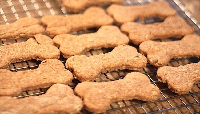 Biscotti per cani fatti in casa: qualche ricetta gustosa