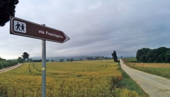 Via Francigena: tappe, km e come organizzare il viaggio