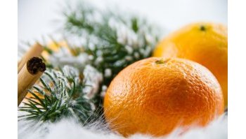Frutta e verdura di gennaio: quali sono i prodotti di stagione?