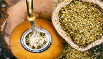 Yerba mate: proprietà, benefici e come utilizzarla