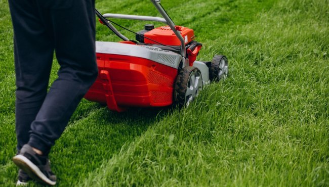 Quali sono i benefici del mulching?