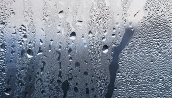 Come eliminare l'umidità da casa: rimedi naturali per dirle addio 