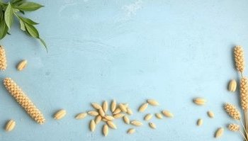 Allergia alle graminacee: sintomi e alimenti da evitare