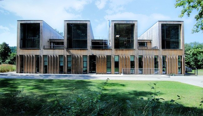 Casa green: come arredare e gestire una casa che rispetti l'ambiente