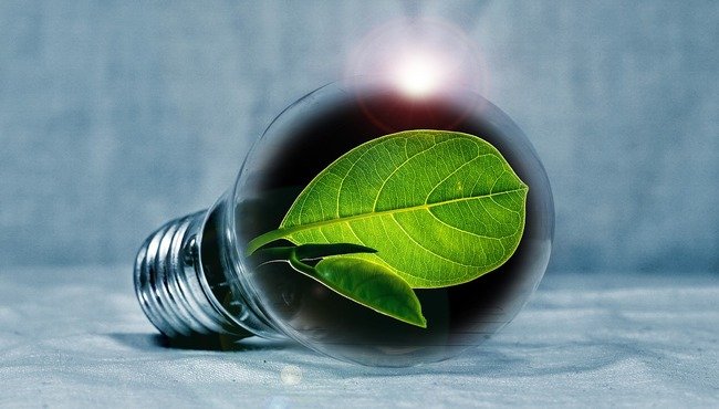 Risparmiare sulla bolletta della luce: trucchi green per consumare meno elettricità