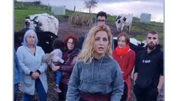 Le mucche di La Manada Cántabra a rischio di ritorno da chi le ha maltrattate: appello per aiuto urgente