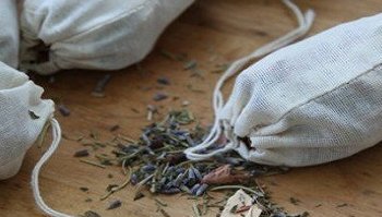 Antitarme naturali: tutte le soluzioni per evitare problemi 