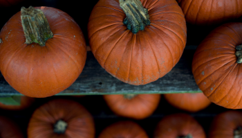 Autunno: frutta e verdura di stagione da mangiare