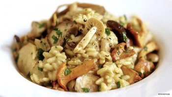 Risotto ai funghi: la versione vegan della ricetta