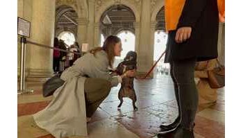 Un nuovo servizio per i proprietari di cani nei musei: parte “Dogs & Museum” a Roma